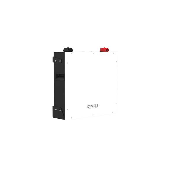 Dyness DL5.0C Batteria d'Accumulo 5,12 kWh per Impianti Fotovoltaici Dyness DL5.0C Batteria d'Accumulo 5,12 kWh per Impianti Fotovoltaici