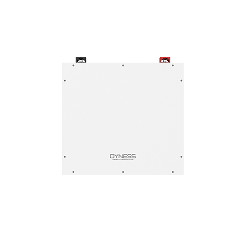 Dyness DL5.0C Batteria d'Accumulo 5,12 kWh per Impianti Fotovoltaici