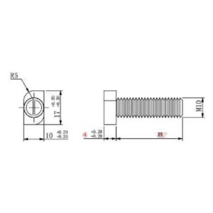 Vite M10X25 Testa A Martello Inox 2