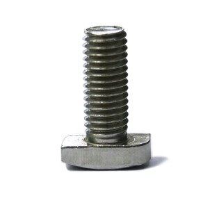 Vite M10X25 Testa A Martello Inox